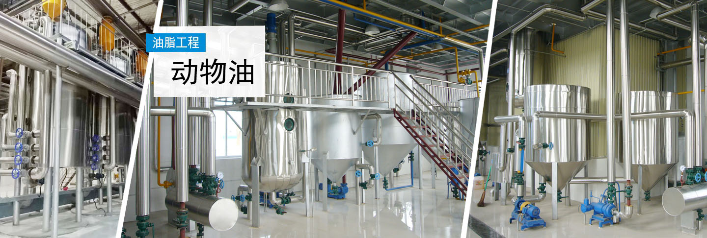 動(dòng)物油熬煉設(shè)備,牛油熬煉設(shè)備,雞油熬煉設(shè)備