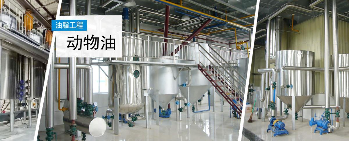 動(dòng)物油熬煉設(shè)備,牛油熬煉設(shè)備,雞油熬煉設(shè)備